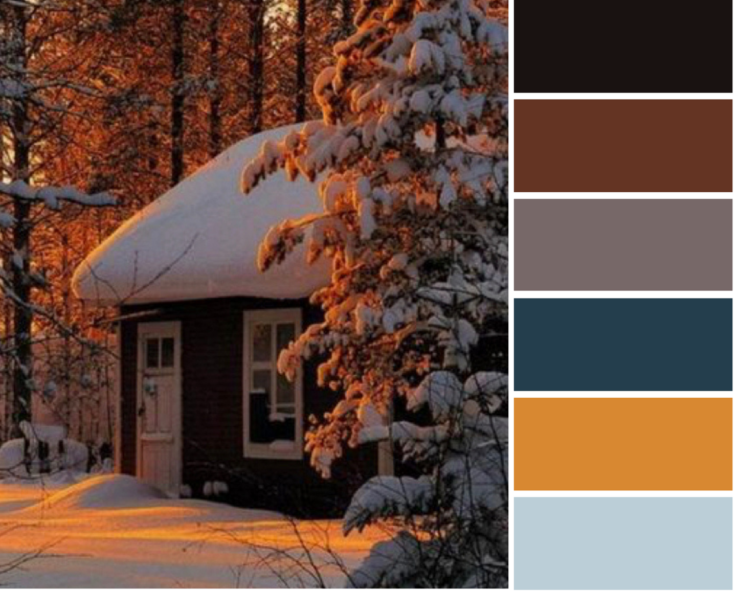 Cozy Cabin - Dyed to Order - Sweet Pea & Sparrow Hand Dyed Yarns