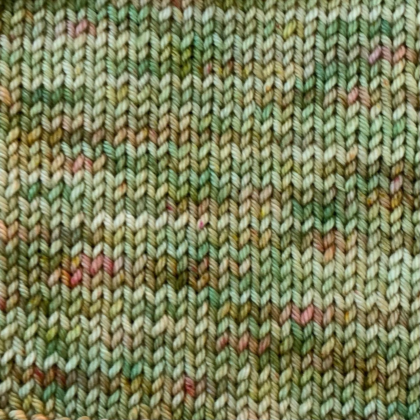 Thoughts of Spring - Dyed to Order - Sweet Pea & Sparrow Hand Dyed Yarns