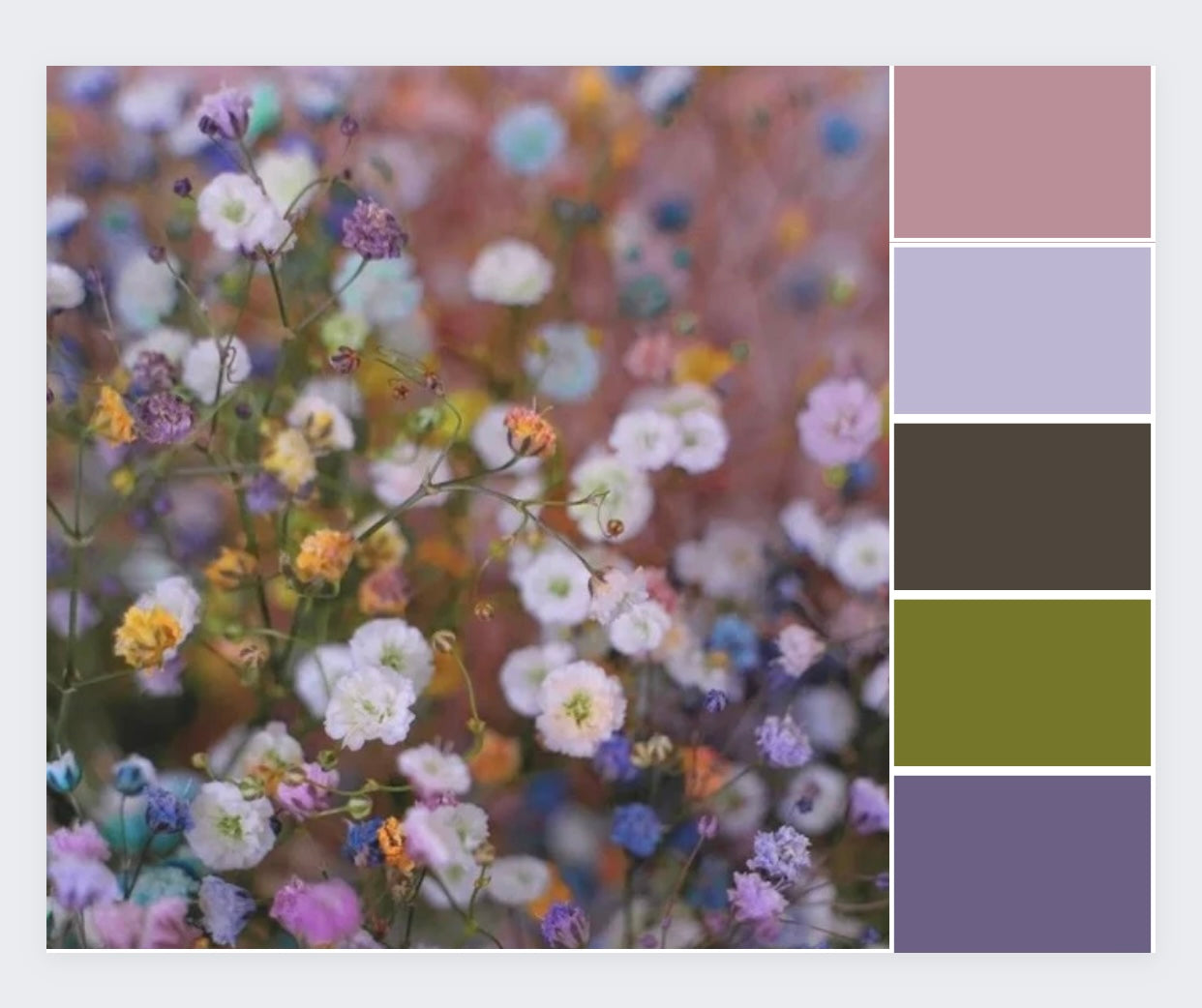 Wildflower Meadow- Dyed to Order - Sweet Pea & Sparrow Hand Dyed Yarns