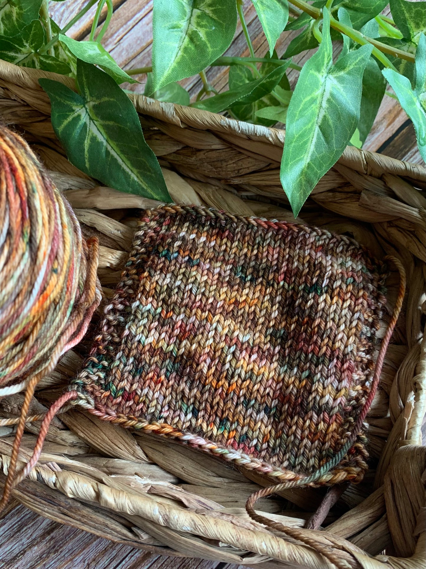 Secrets are in the Cosmos - Dyed to Order - Sweet Pea & Sparrow Hand Dyed Yarns