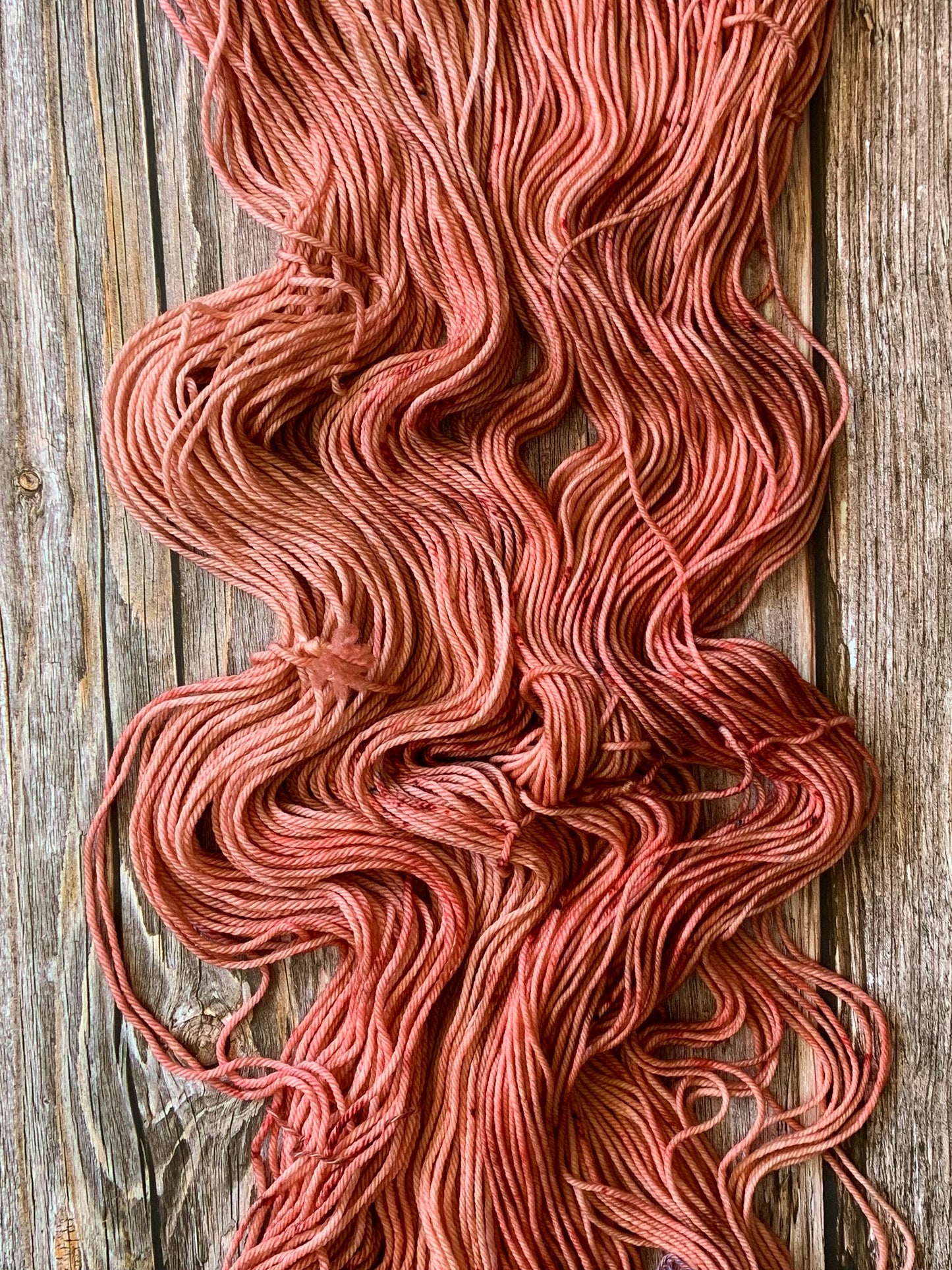 Picnic Lunch- Dyed to Order - Sweet Pea & Sparrow Hand Dyed Yarns
