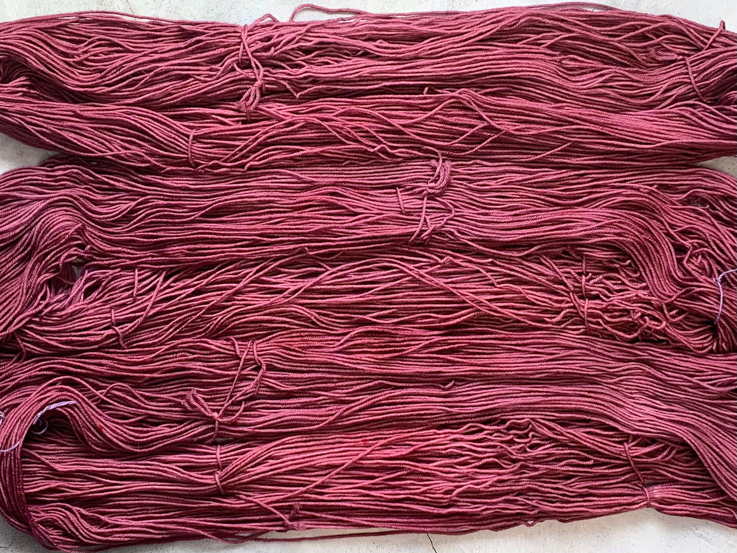 Scorpion Chili - Dyed to Order - Sweet Pea & Sparrow Hand Dyed Yarns