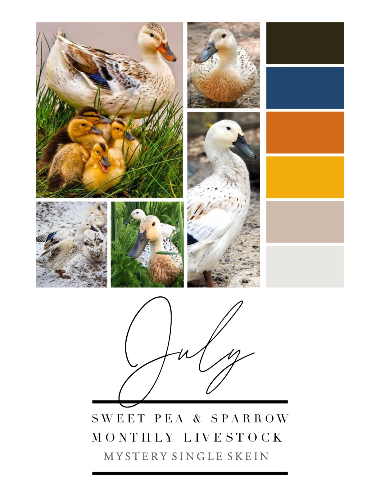 July - Duck Duck - Livestock Monthly Single Skein