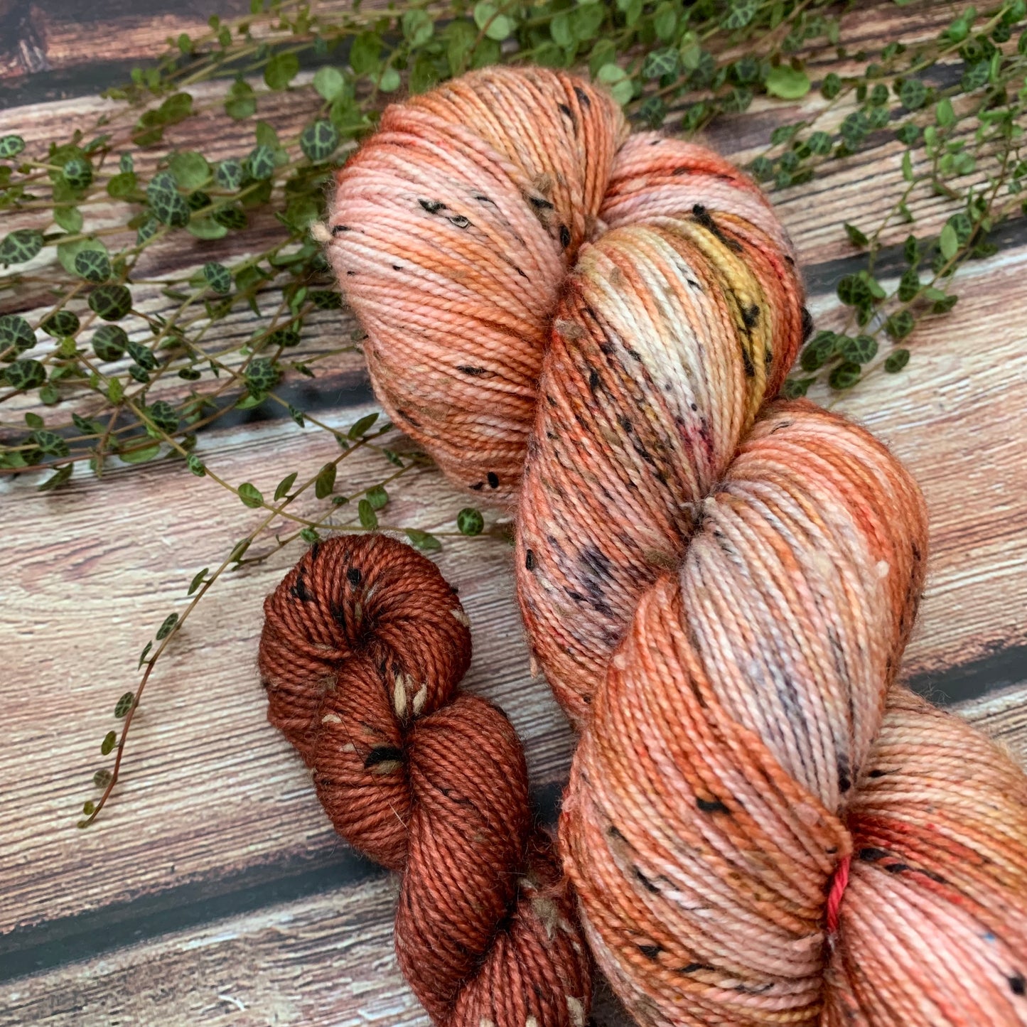 Tamworth Pigs Sock Set- Livestock Sock Set - Dyed to Order - Sweet Pea & Sparrow Hand Dyed Yarns