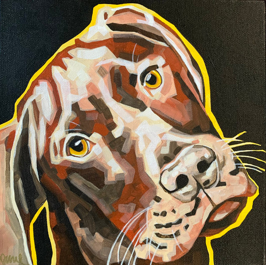 10”x10” - "Boone" - Dog Painting-Acrylic Painting