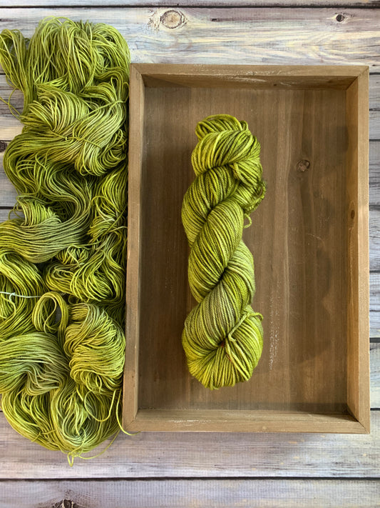 Coriander - Pre Order - Sweet Pea & Sparrow Hand Dyed Yarn