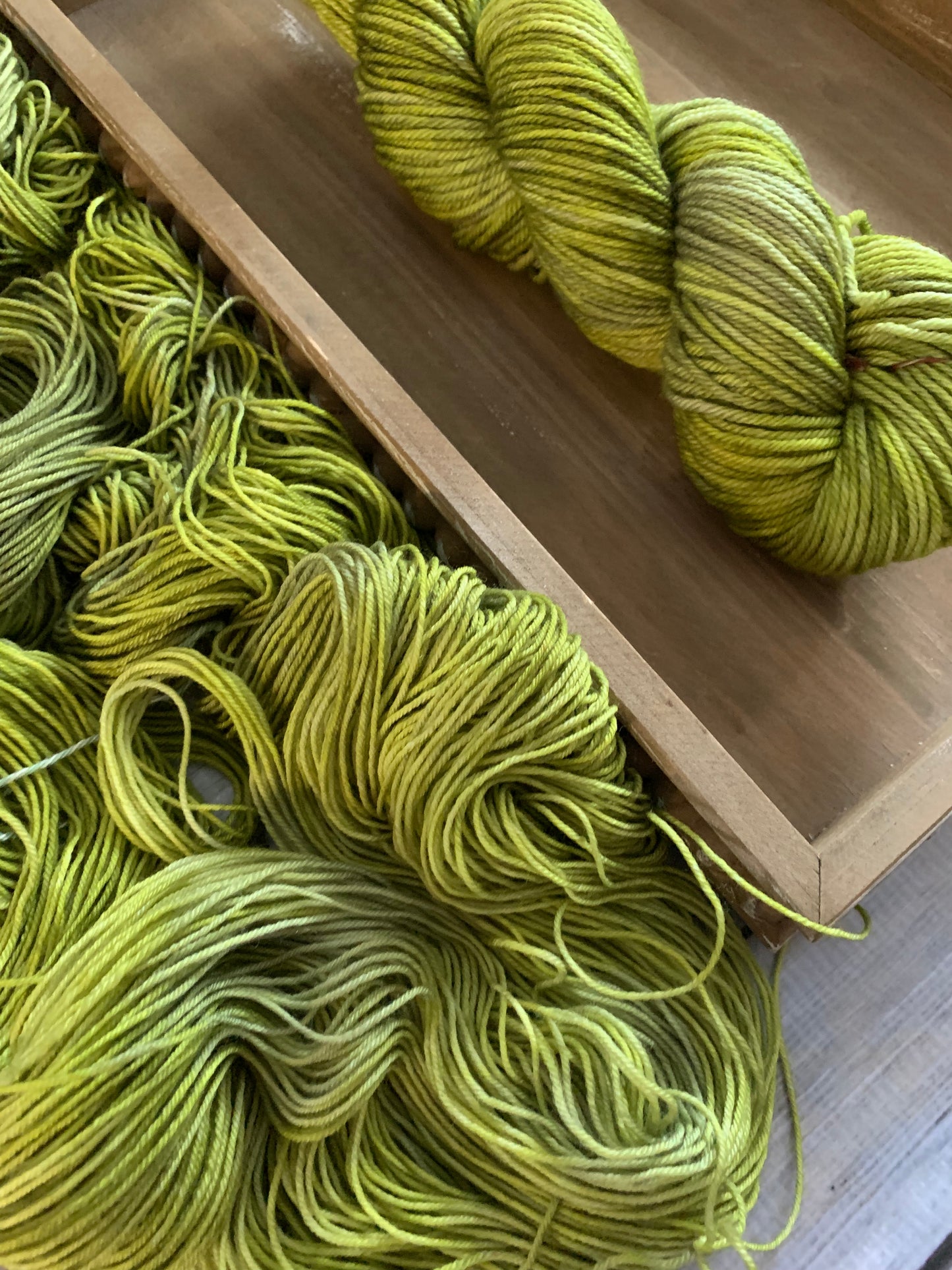 Coriander - Pre Order - Sweet Pea & Sparrow Hand Dyed Yarn