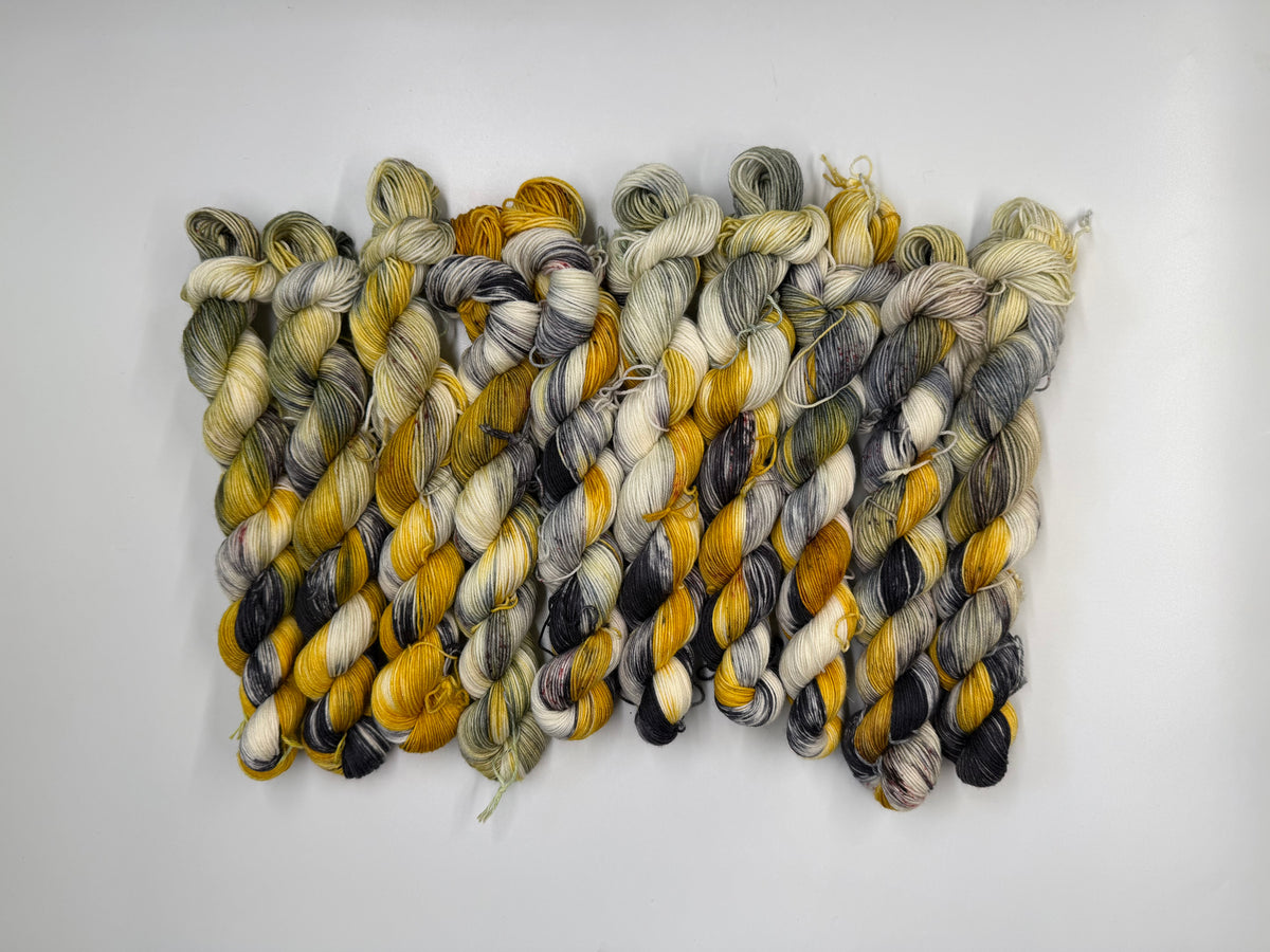 Winter Fun -  Dyed to Order - Sweet Pea & Sparrow Hand Dyed Yarns