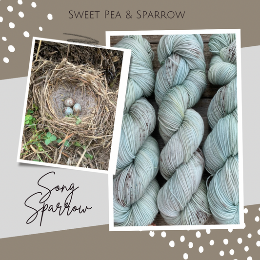 Song Sparrow - Pre Order - Sweet Pea & Sparrow Hand Dyed Yarns