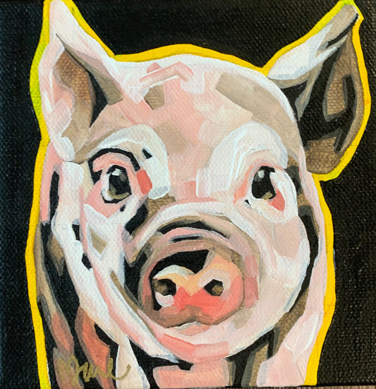 5”x5” - "Jack" - Pig Painting-Acrylic Painting