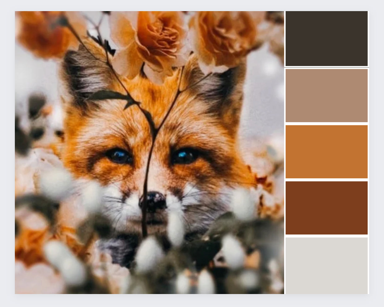 Clever as a Fox- Life's Little Things Collection - Sweet Pea & Sparrow - Dyed to Order