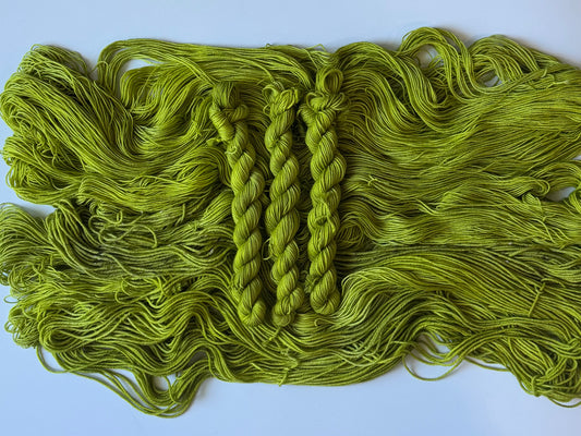 Coriander - Pre Order - Sweet Pea & Sparrow Hand Dyed Yarn
