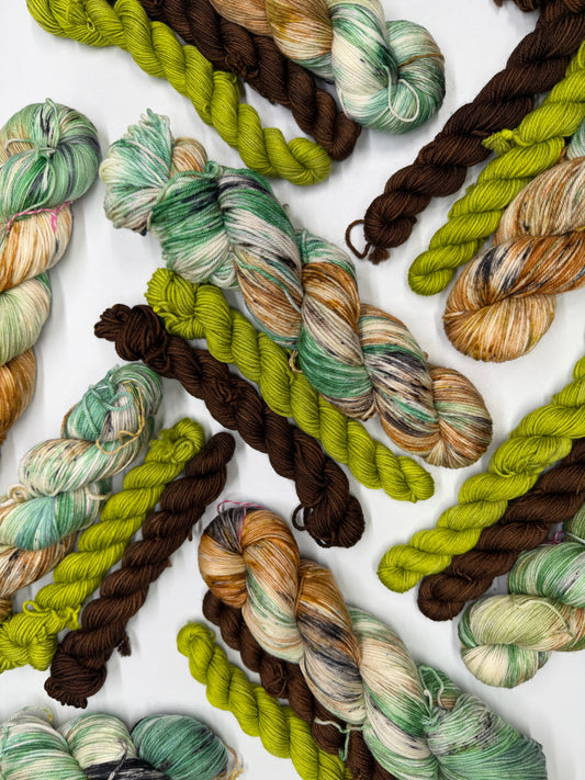 Edwards Forester & Coriander/Chestnut- Sock Set-  Dyed to Order - Sweet Pea & Sparrow Hand Dyed Yarns