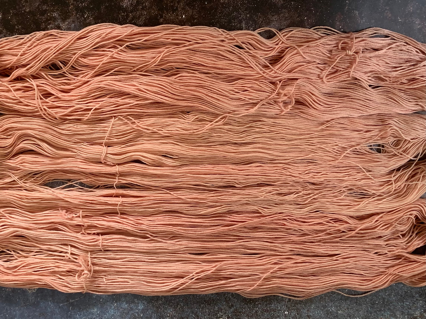 Calendula -  Dyed to Order - Sweet Pea & Sparrow Hand Dyed Yarns
