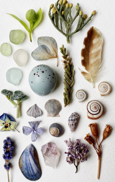 Pre-order- 2026 "Shared Happiness" Advent Collection- Sweet Pea & Sparrow