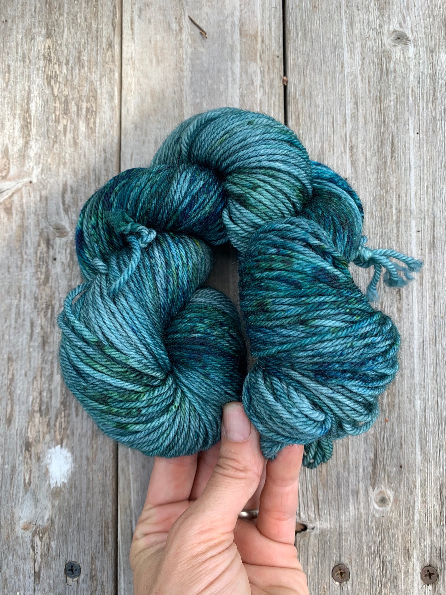 Storm Front - Hand dyed yarn - Midwest Weather Collection - Sweet Pea & Sparrow