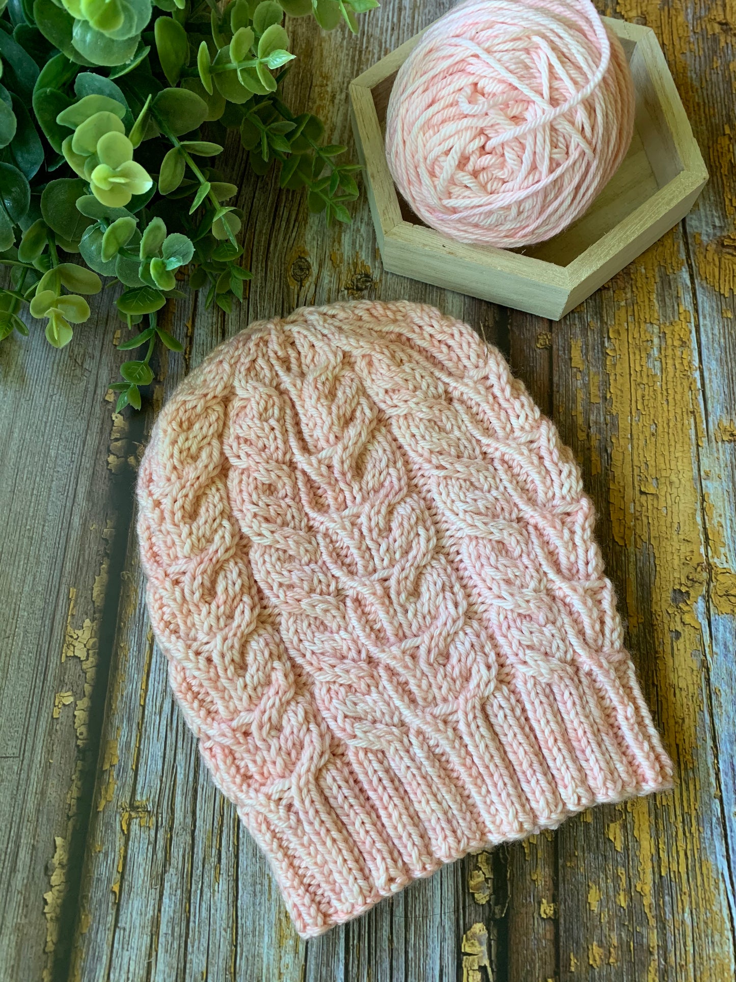 PATTERN ONLY - Winged Bean Beanie - A PDF Knit Hat Pattern - Sweet Pea & Sparrow